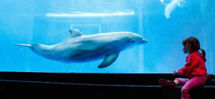 Acuario de Génova